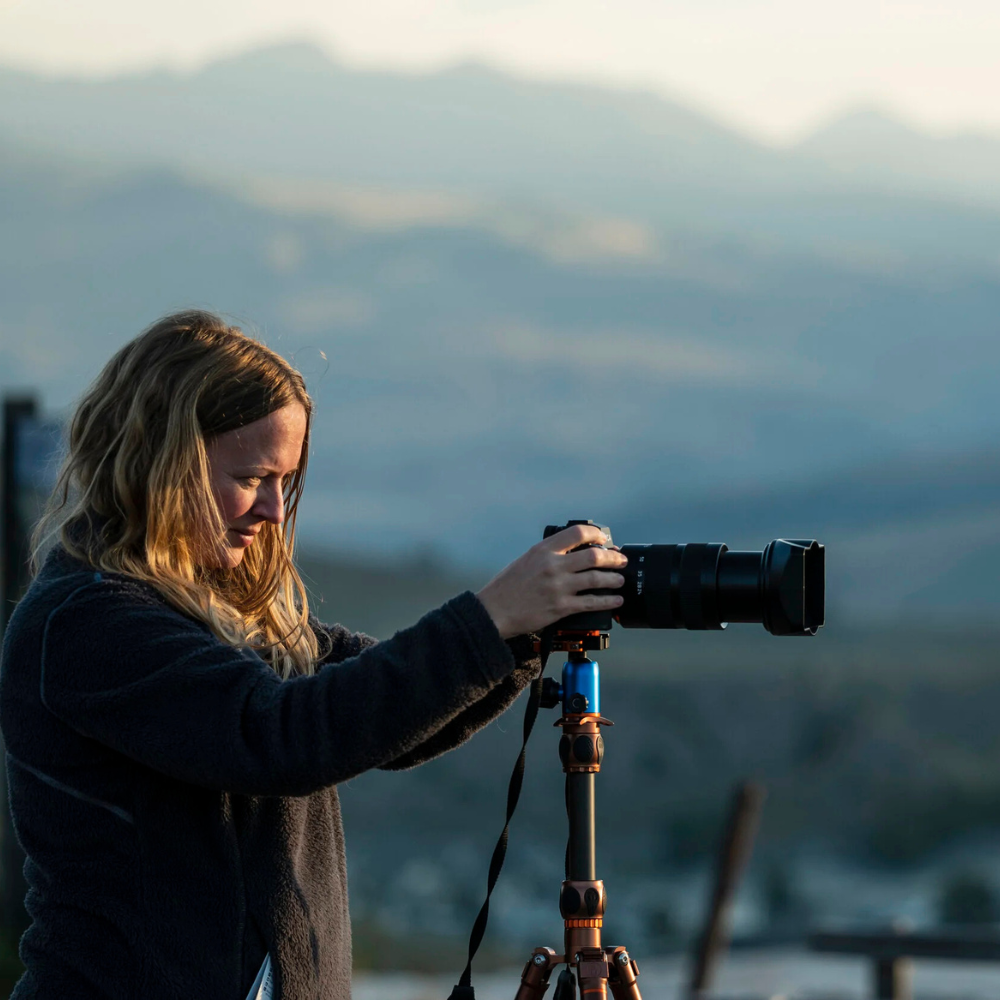 Photography & Wall Art