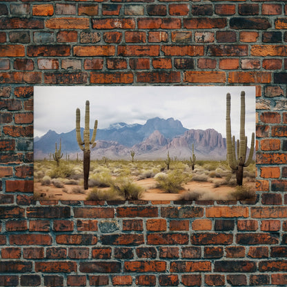 Desert Wall Art – Framed Cactus Canvas Print Southwestern Decor
